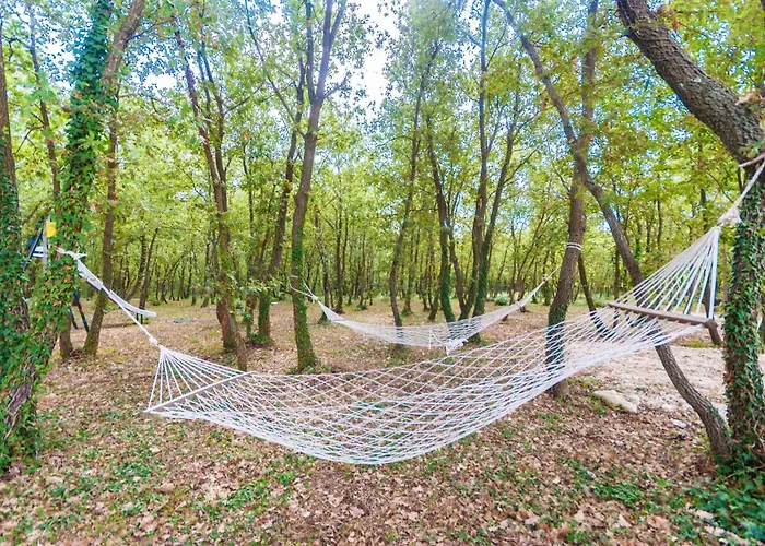 Noina Arka, A Charming With A Pool Surrounded By Nature