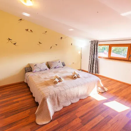 Noina Arka, A Charming With A Pool Surrounded By Nature בית נופש Divšići